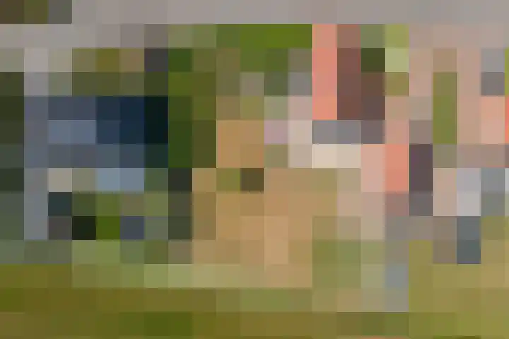 Hoogeinde 3 Zoelmond thumbnail 60