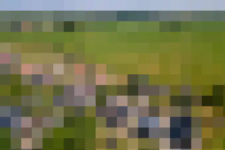 Hoogeinde 3 Zoelmond thumbnail 61
