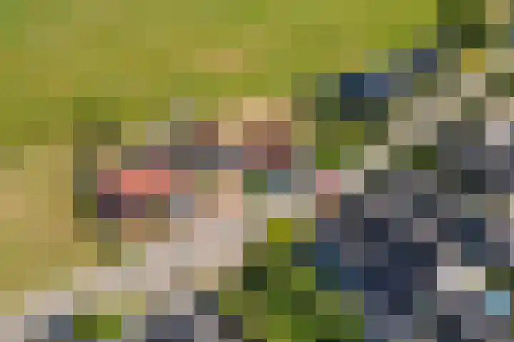 Hoogeinde 3 Zoelmond thumbnail 62