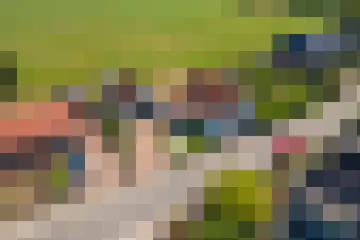 Hoogeinde 3 Zoelmond thumbnail 63