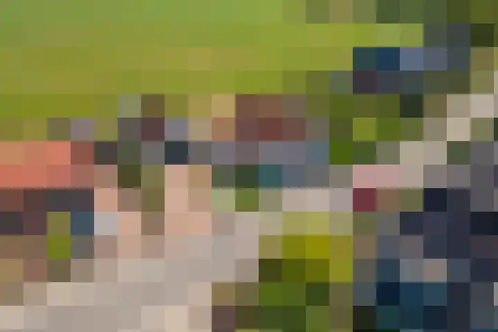 Hoogeinde 3 Zoelmond thumbnail 64
