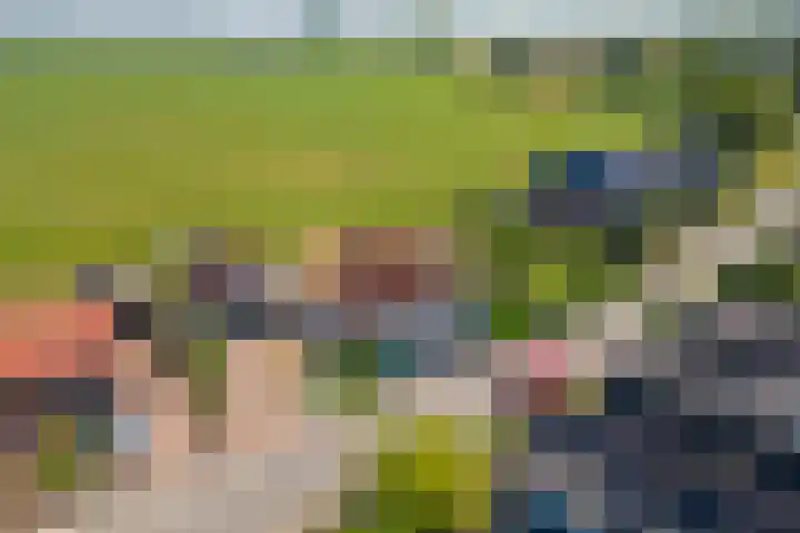 Hoogeinde 3 Zoelmond thumbnail 65