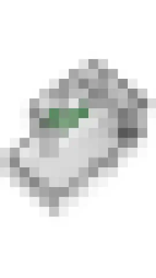 Hoogeinde 3 Zoelmond thumbnail 69