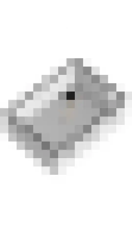Hoogeinde 3 Zoelmond thumbnail 73