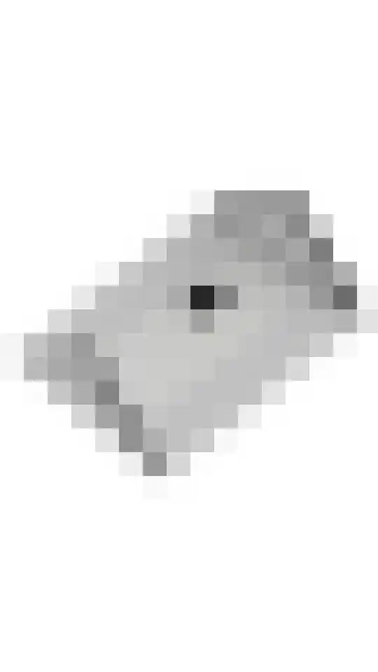 Hoogeinde 3 Zoelmond thumbnail 75