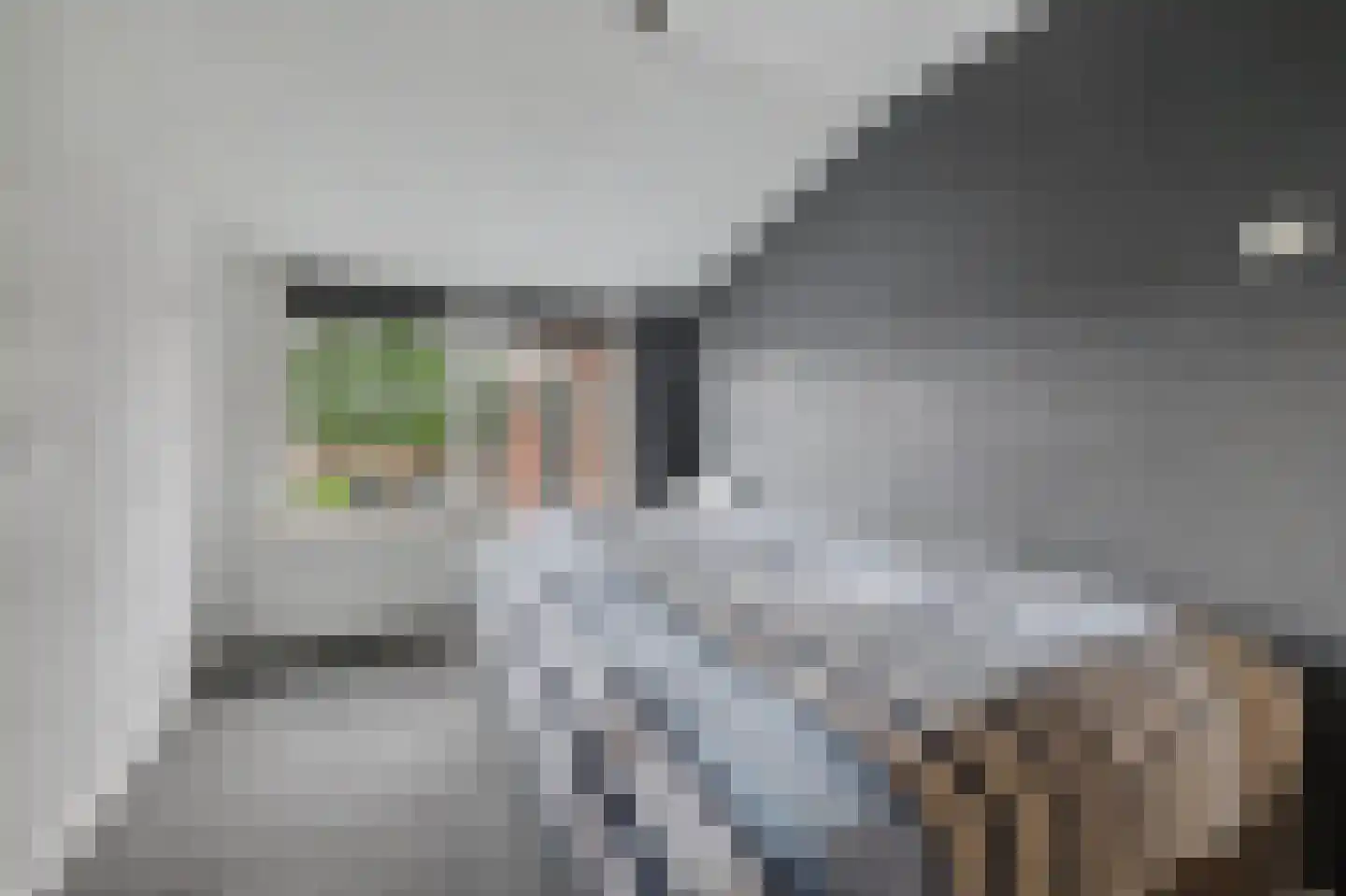 Hoogeinde 36 Waalwijk thumbnail 19