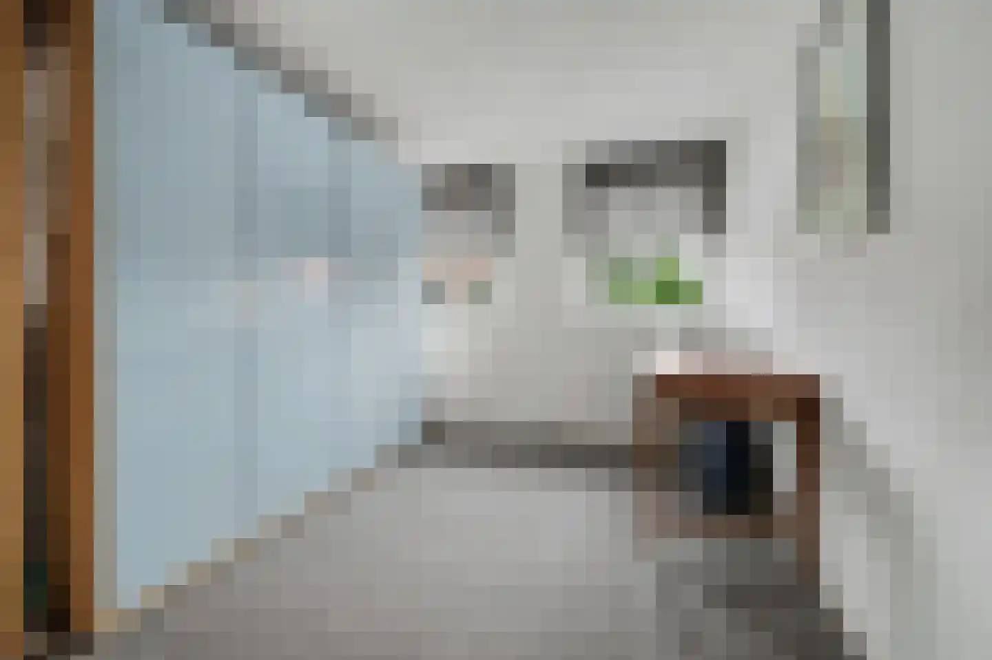 Hoogeinde 36 Waalwijk thumbnail 20