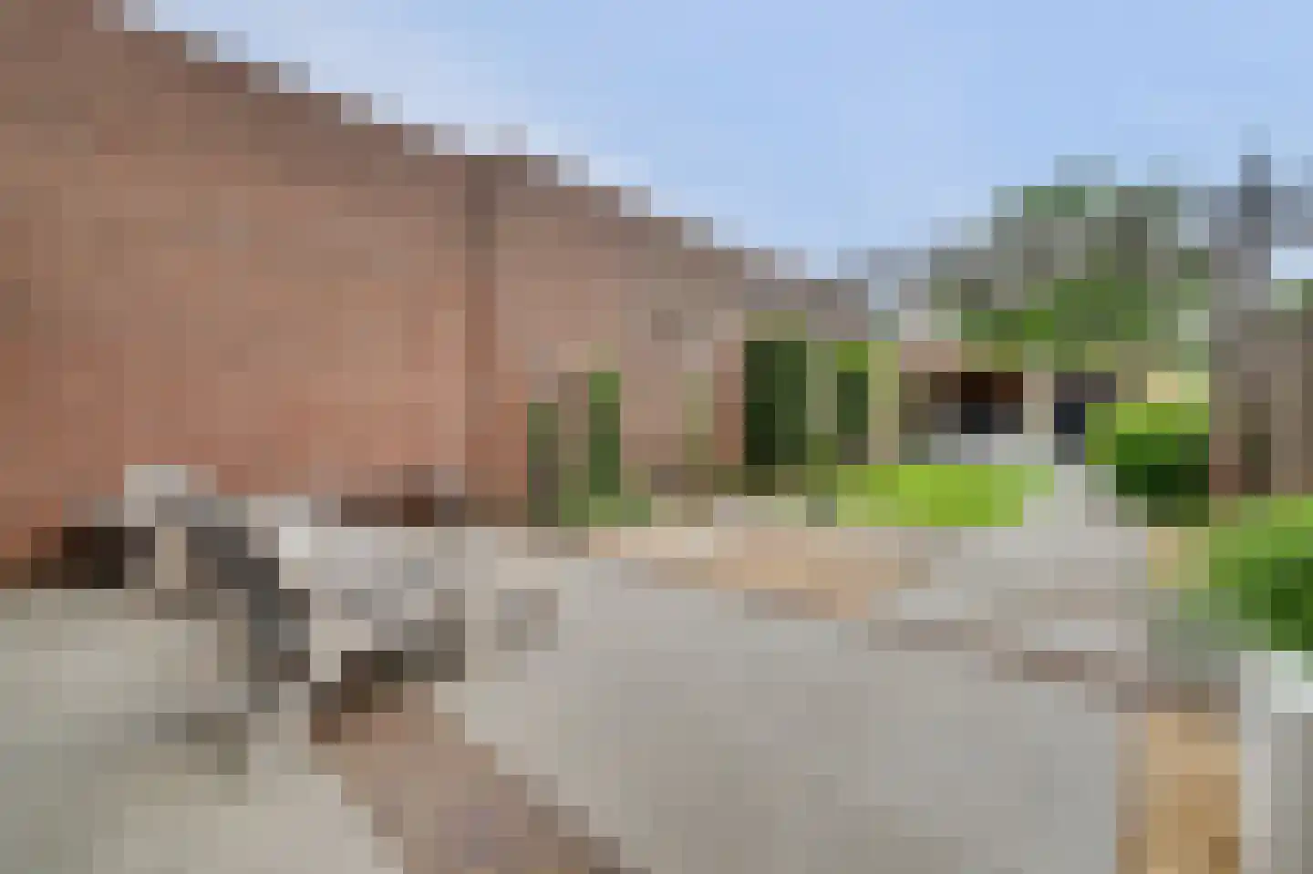 Hoogeinde 36 Waalwijk thumbnail 31