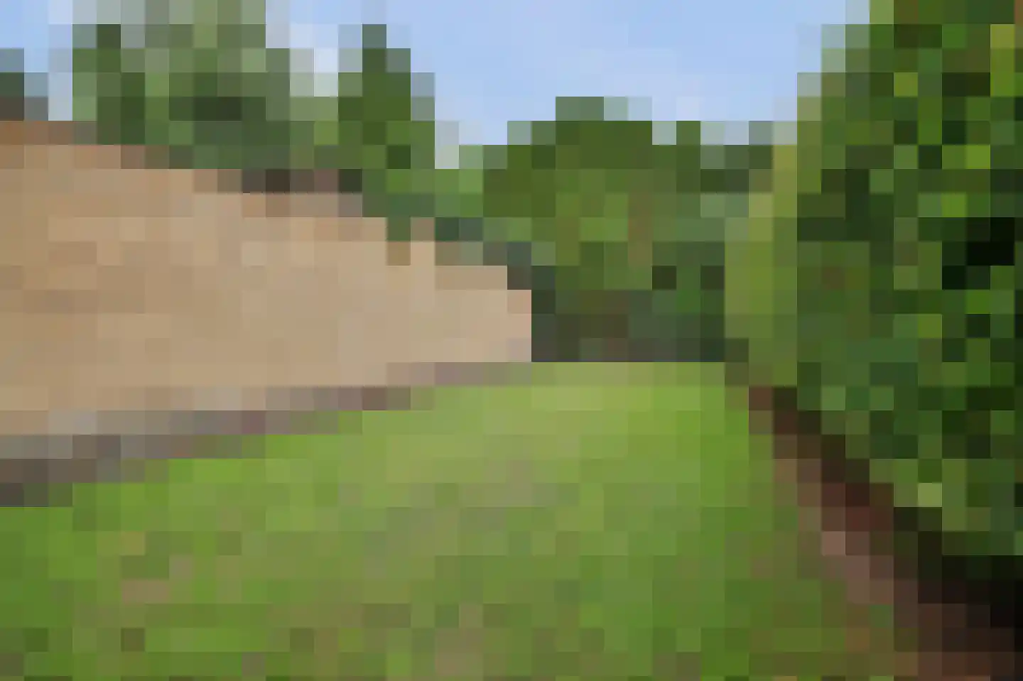 Hoogeinde 36 Waalwijk thumbnail 35