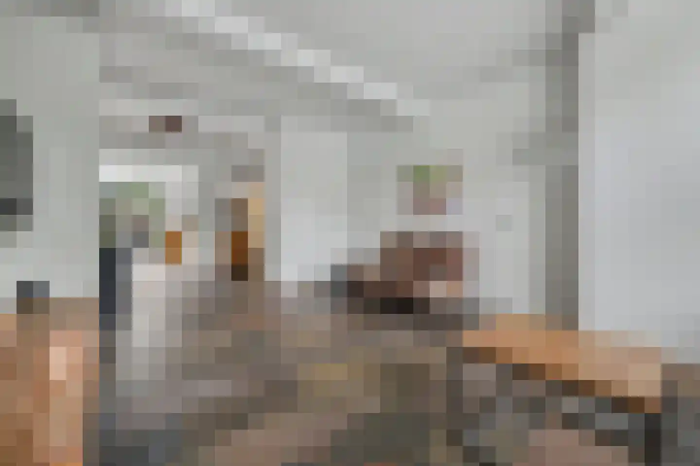 Hoogeinde 36 Waalwijk thumbnail 8
