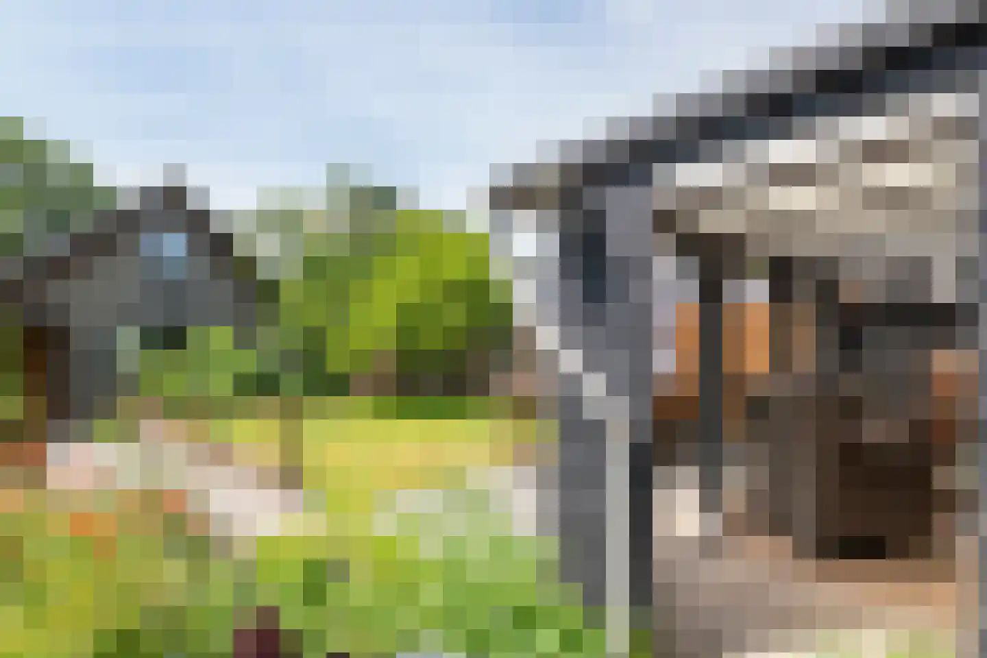 Hoogeinde 50 Zoelmond thumbnail 28