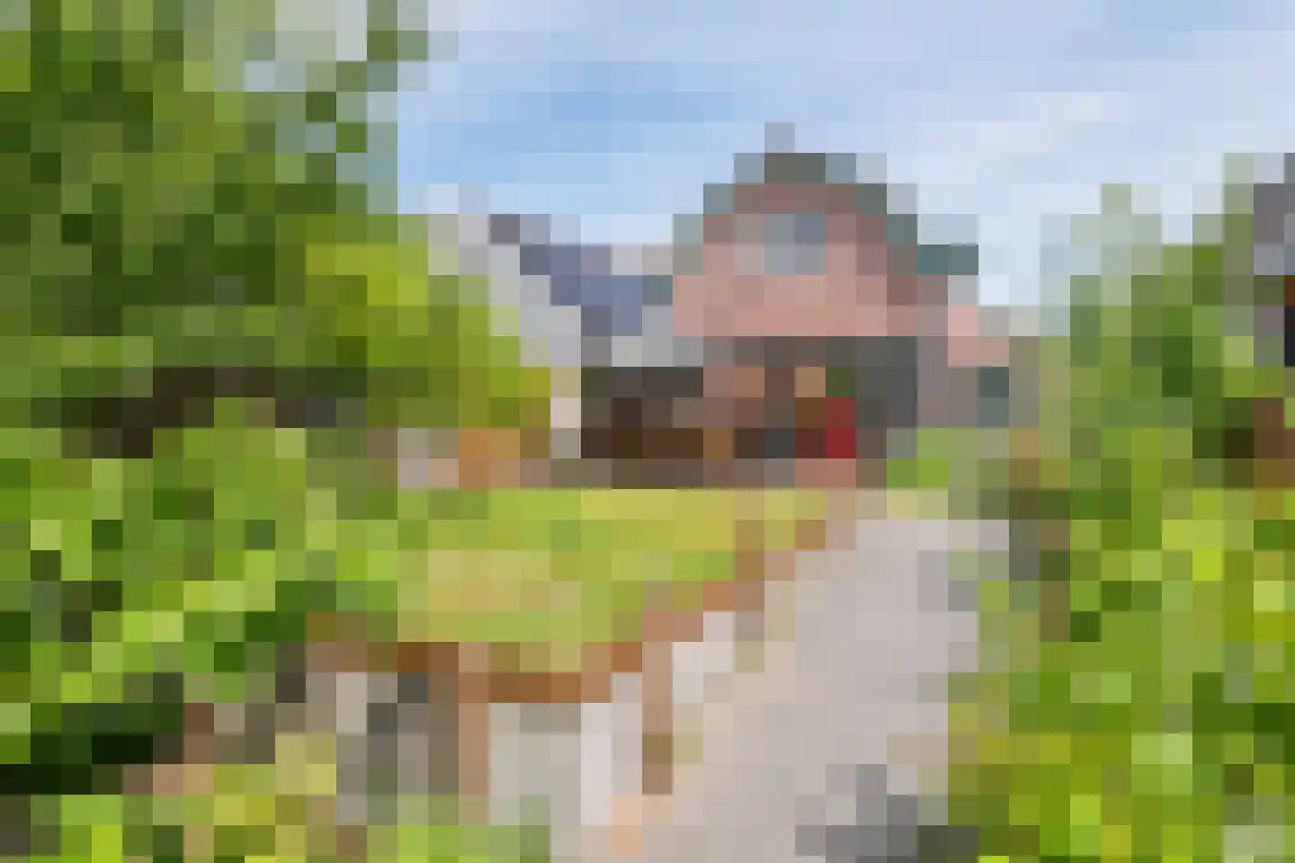 Hoogeinde 50 Zoelmond thumbnail 32