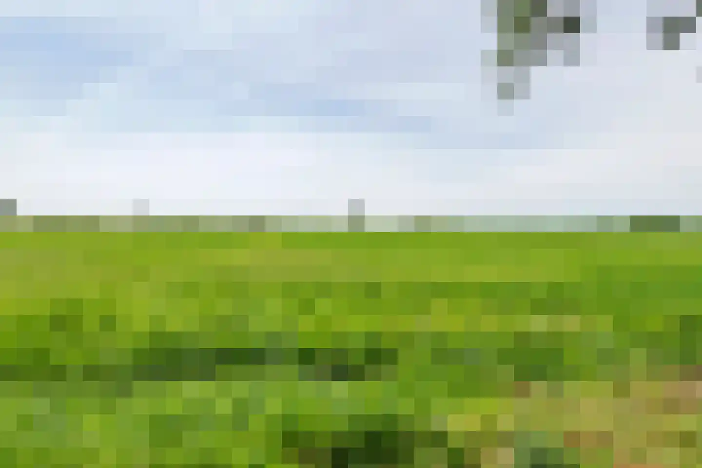 Hoogeinde 50 Zoelmond thumbnail 35