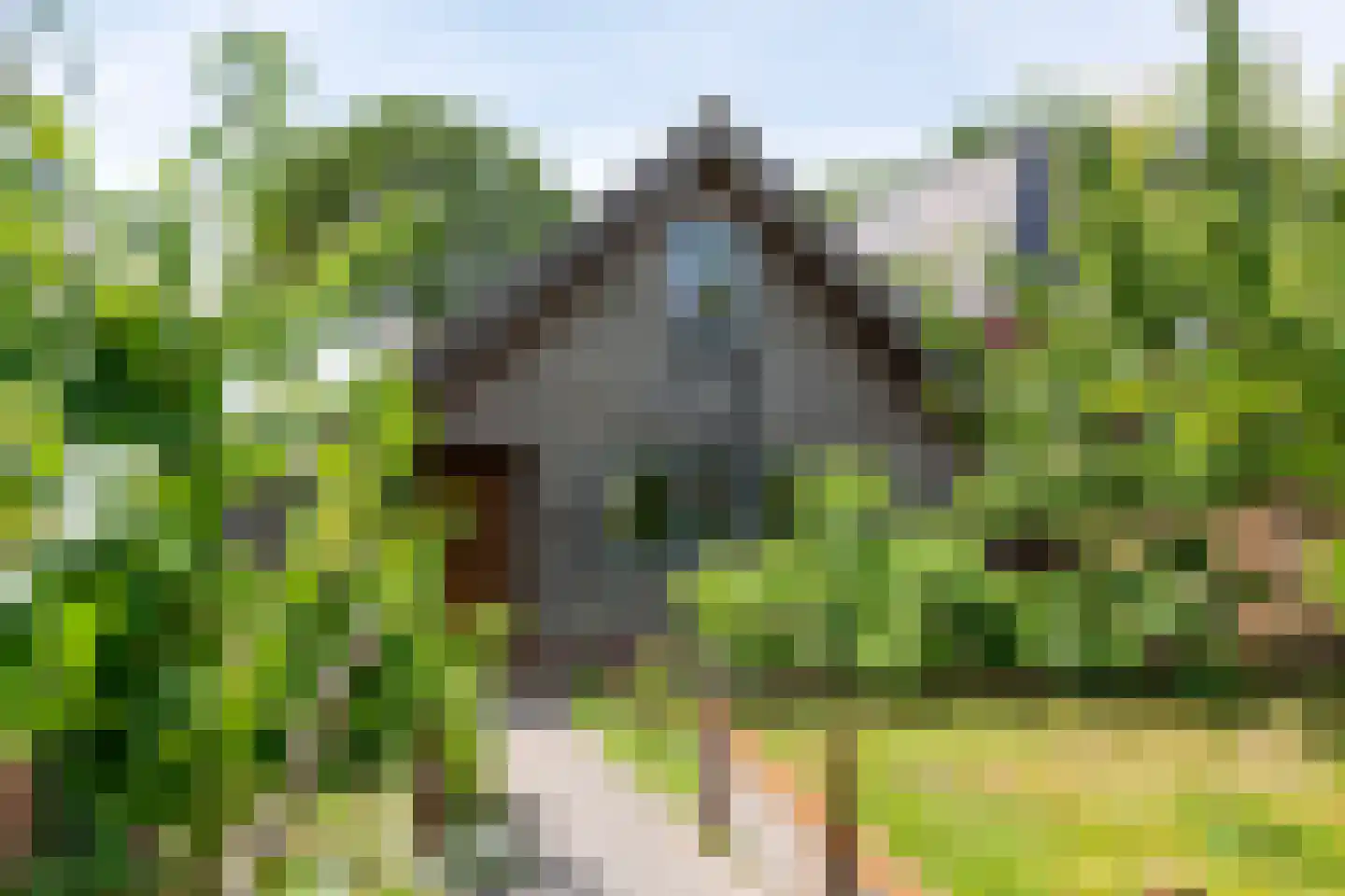 Hoogeinde 50 Zoelmond thumbnail 52
