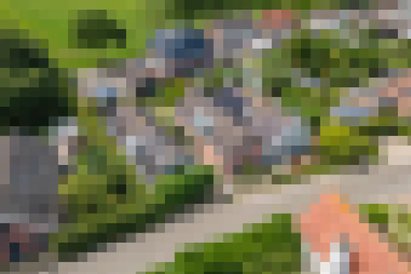 Hoogeinde 50 Zoelmond thumbnail 65