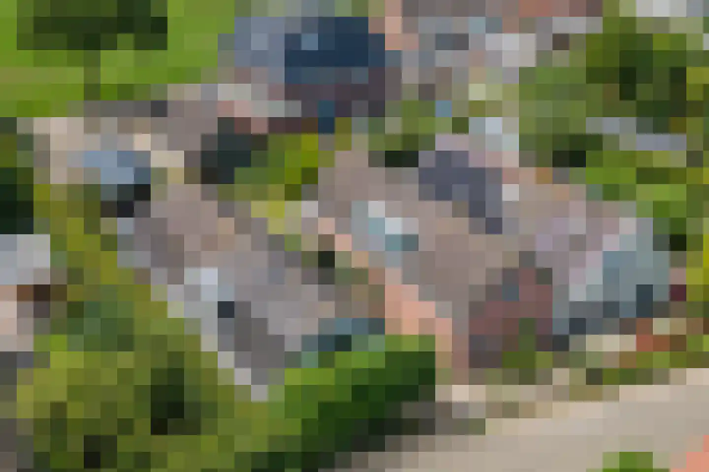 Hoogeinde 50 Zoelmond thumbnail 66