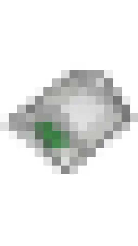 Hoogeinde 50 Zoelmond thumbnail 73