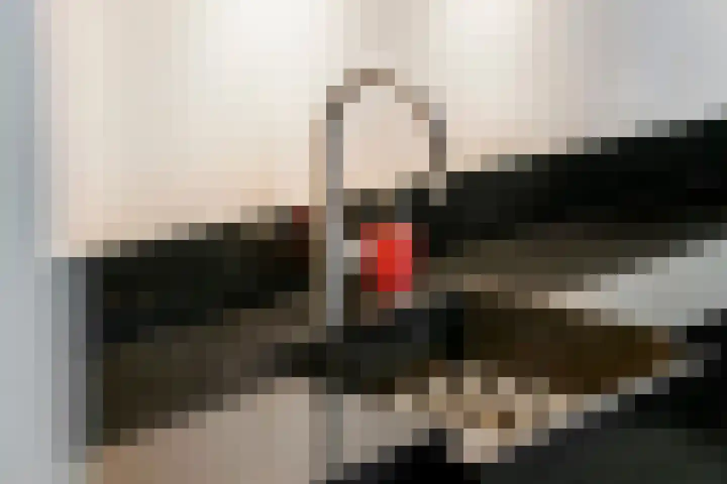 Hoogeinde 50 Zoelmond thumbnail 8