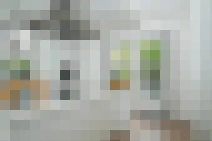 Hoogeinde 7 a Tricht thumbnail 19