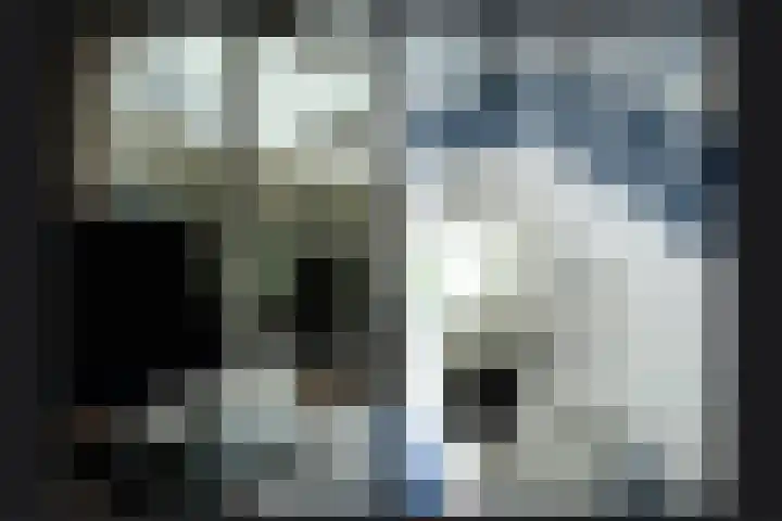 Hoogeinde 7 a Tricht thumbnail 25