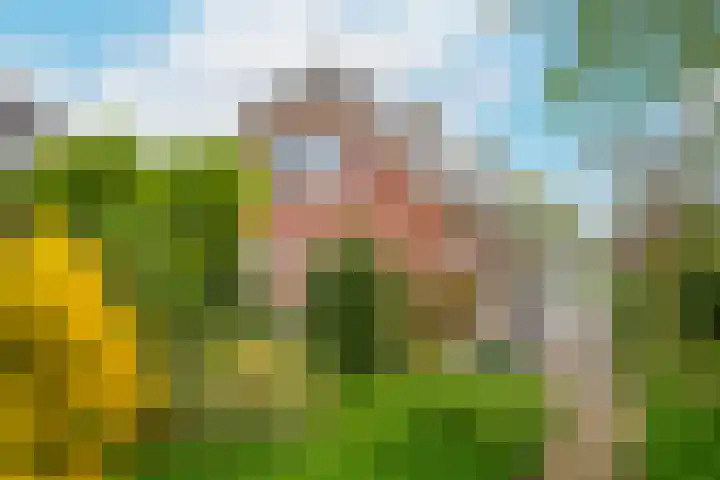 Hoogeinde 7 a Tricht thumbnail 36