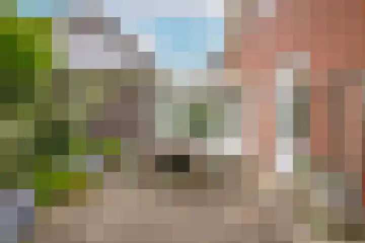 Hoogeinde 7 a Tricht thumbnail 38