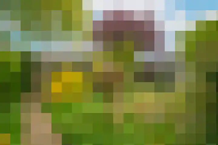 Hoogeinde 7 a Tricht thumbnail 41