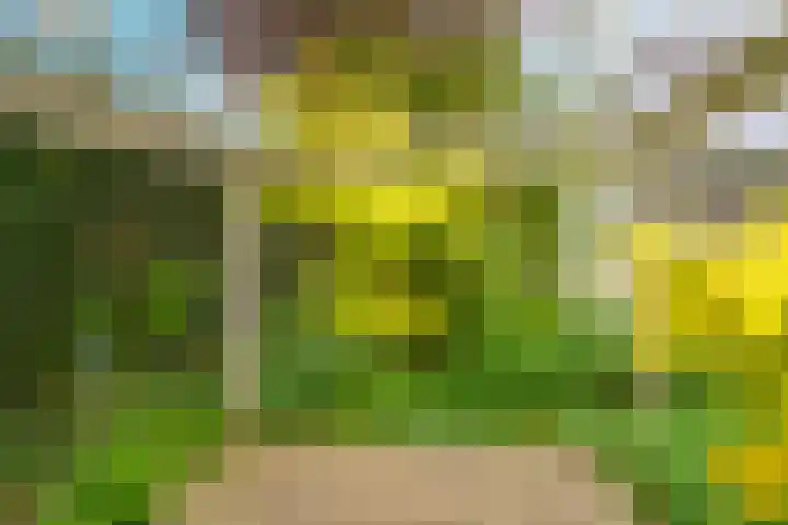 Hoogeinde 7 a Tricht thumbnail 42