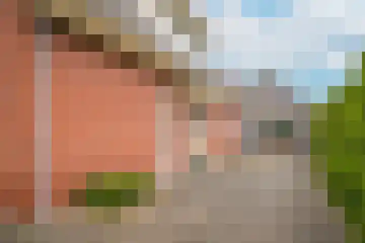 Hoogeinde 7 a Tricht thumbnail 44