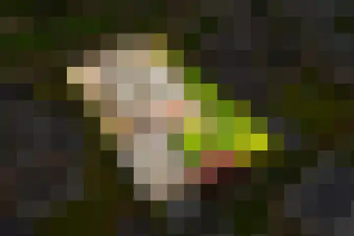 Hoogeinde 7 a Tricht thumbnail 45