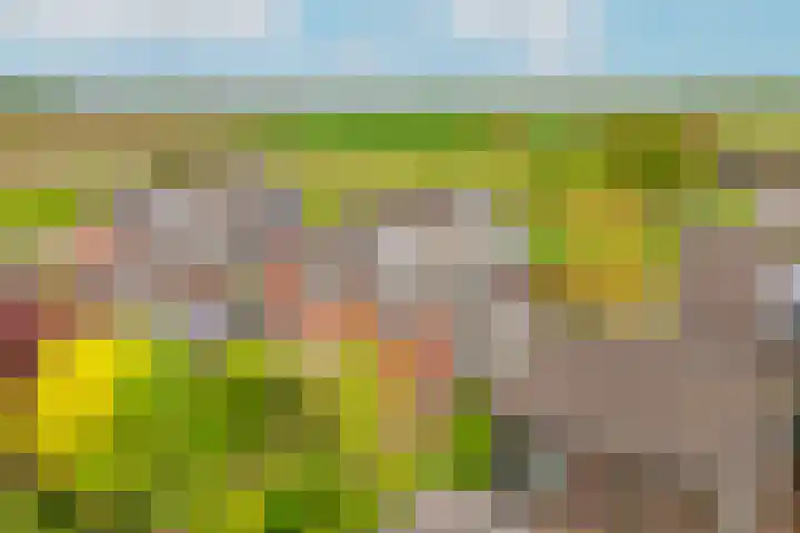 Hoogeinde 7 a Tricht thumbnail 46