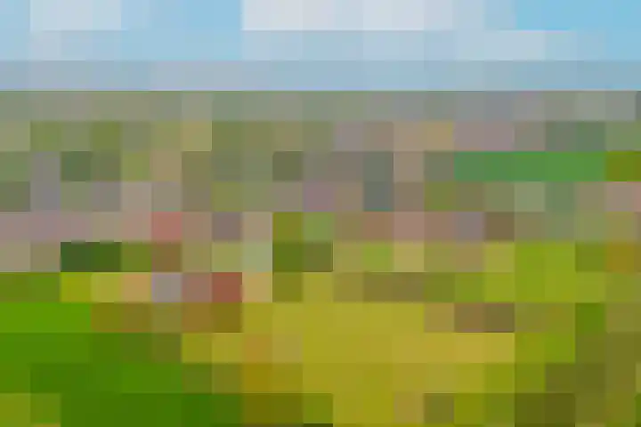 Hoogeinde 7 a Tricht thumbnail 47