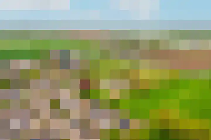 Hoogeinde 7 a Tricht thumbnail 48