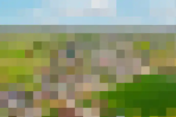 Hoogeinde 7 a Tricht thumbnail 49