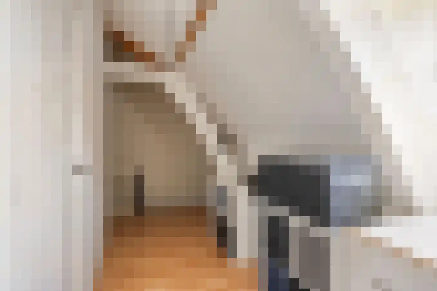 Hoogeinde 8 Tiel thumbnail 13