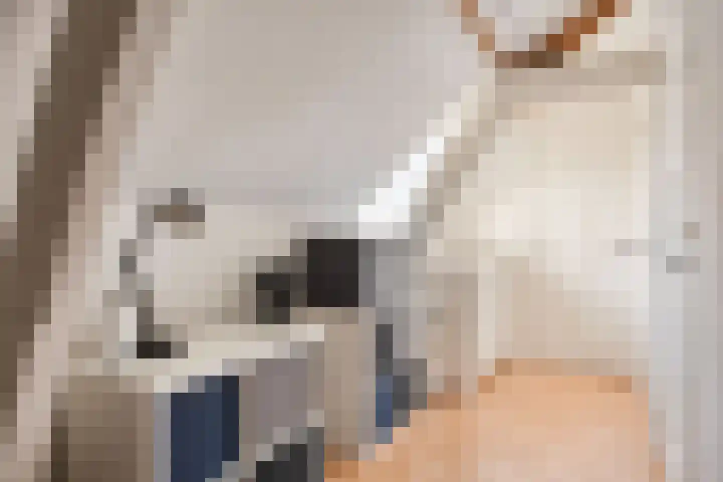 Hoogeinde 8 Tiel thumbnail 14