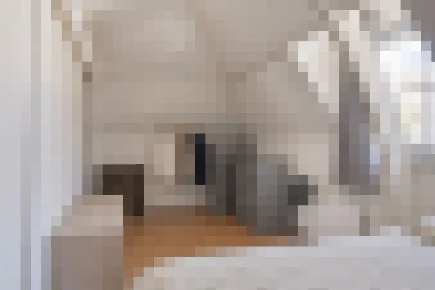Hoogeinde 8 Tiel thumbnail 18