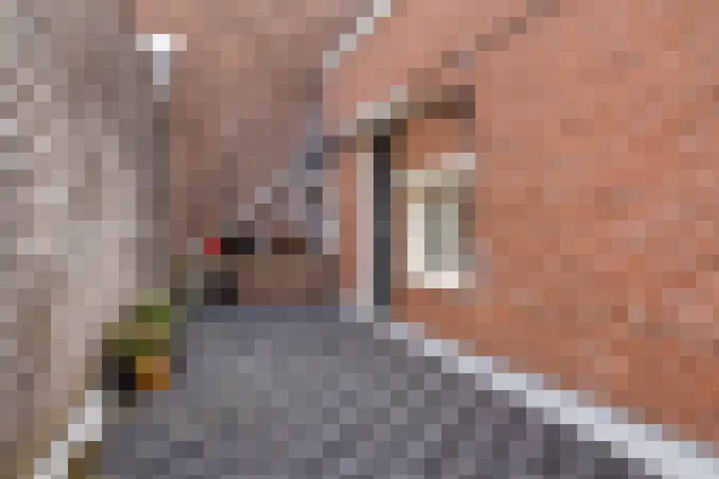 Hoogeinde 8 Tiel thumbnail 21