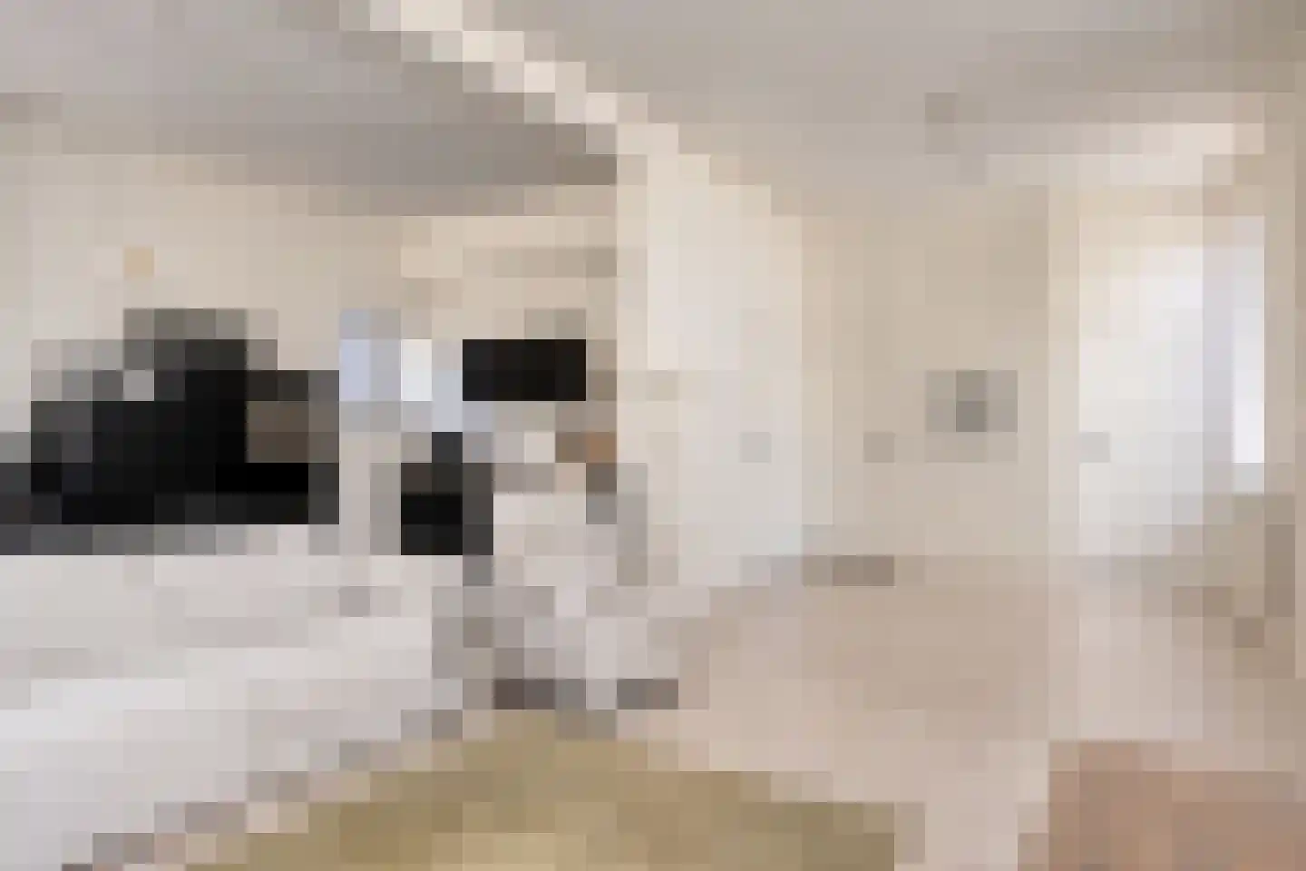 Hoogeinde 8 Tiel thumbnail 8