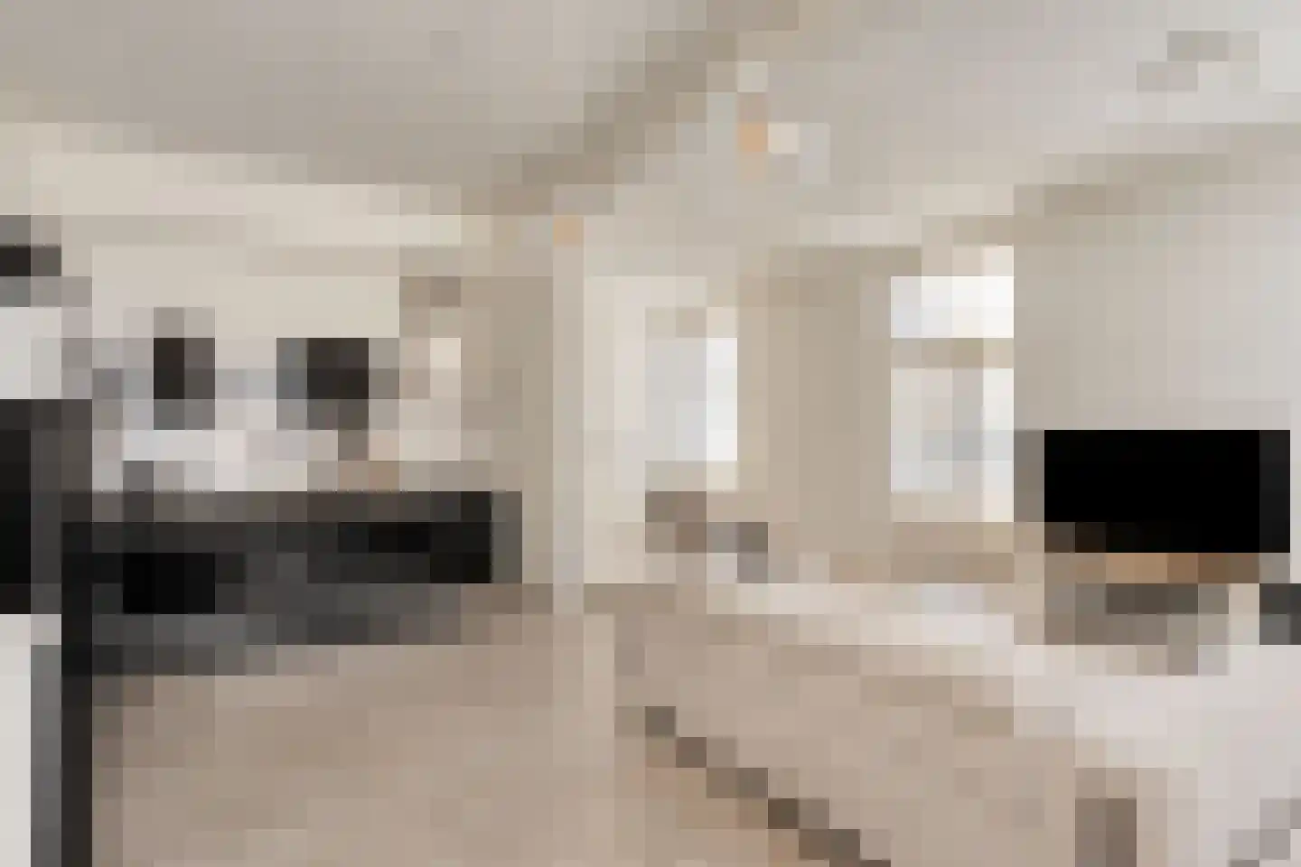Hoogeinde 8 Tiel thumbnail 9
