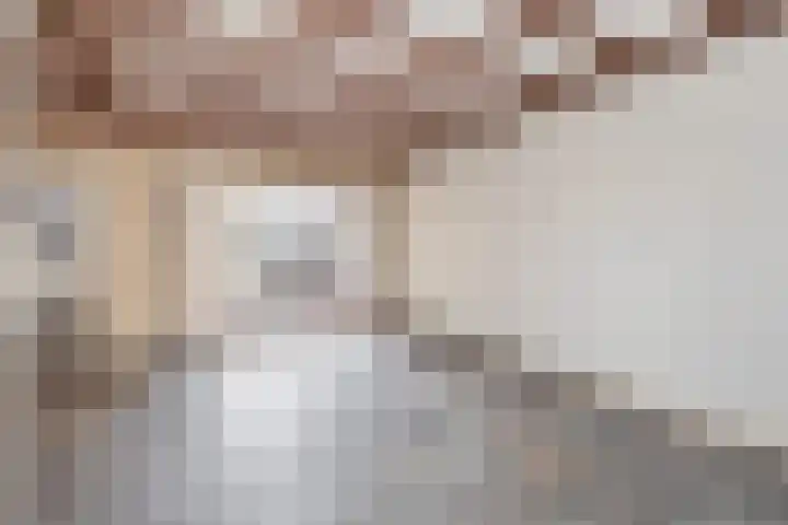 Hoogeinde 8 Waalwijk thumbnail 11