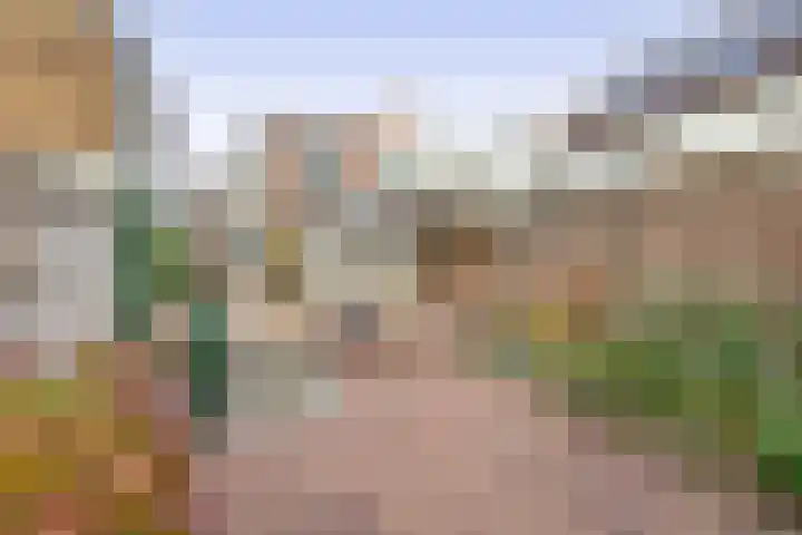 Hoogeinde 8 Waalwijk thumbnail 20