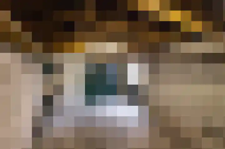Hoogeinde 8 Waalwijk thumbnail 32
