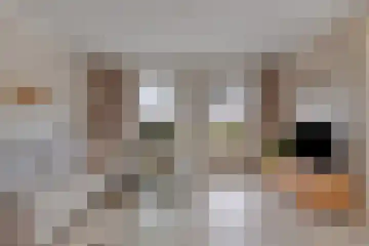 Hoogeindse Kampen 27 Rijkevoort thumbnail 15
