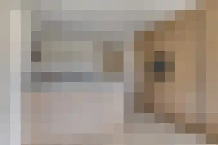 Hoogeindse Kampen 27 Rijkevoort thumbnail 28