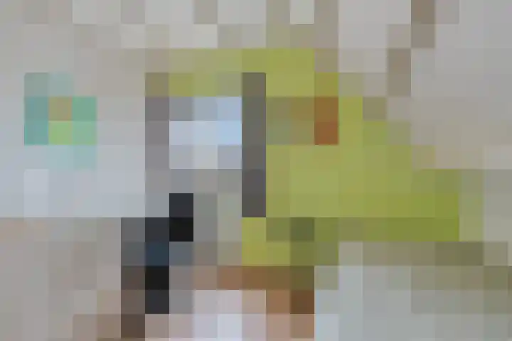 Hoogeindse Kampen 27 Rijkevoort thumbnail 39