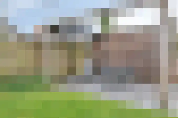 Hoogeindse Kampen 27 Rijkevoort thumbnail 49