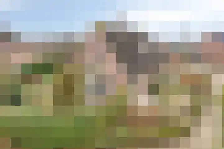 Hoogeindse Kampen 27 Rijkevoort thumbnail 5