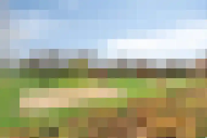 Hoogeindse Kampen 27 Rijkevoort thumbnail 57