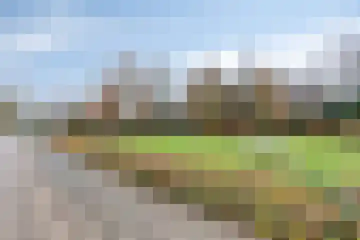 Hoogeindse Kampen 27 Rijkevoort thumbnail 58